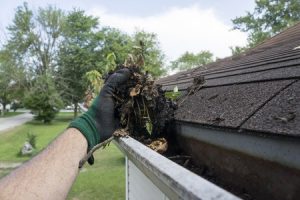 gutter cleaning broward